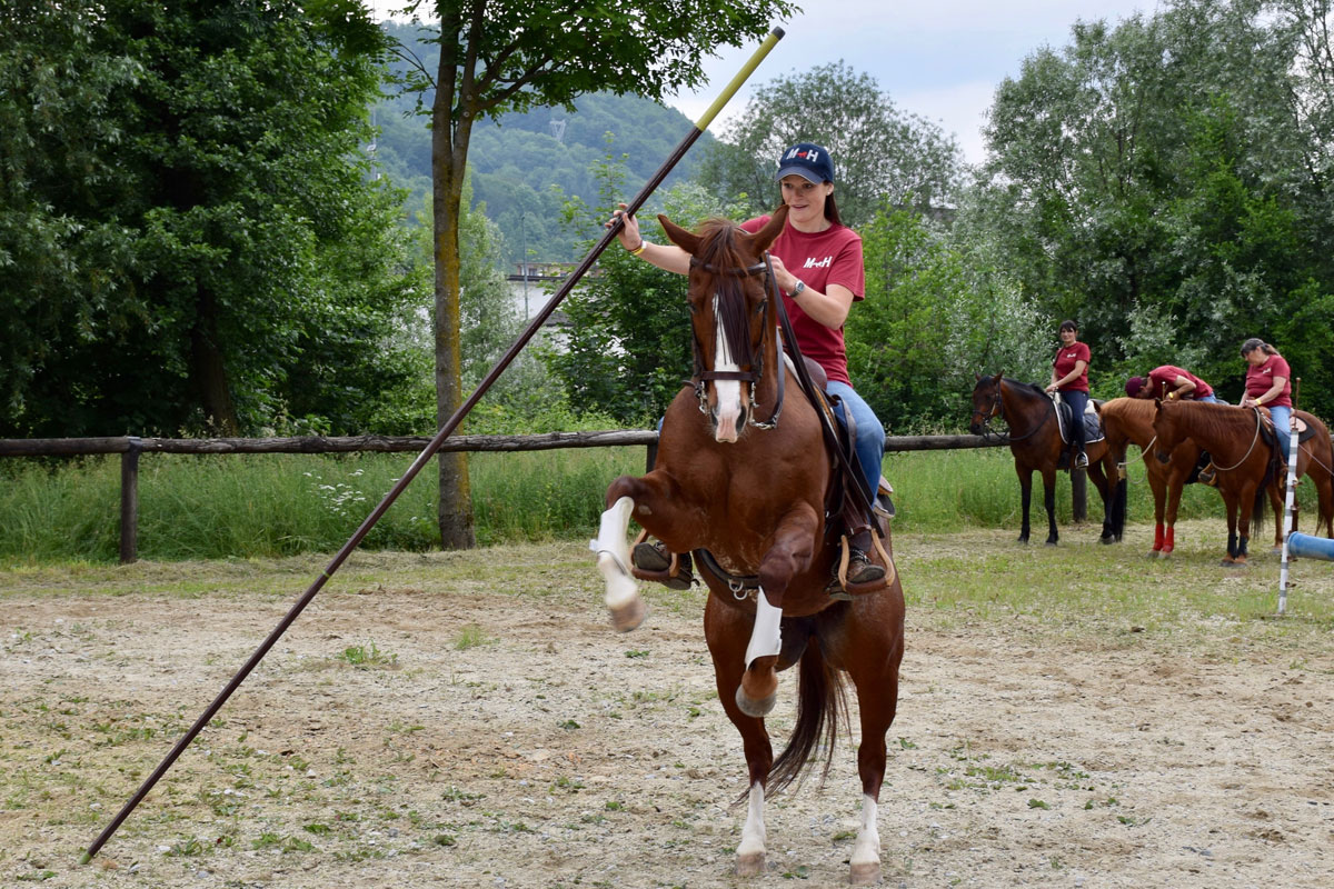 san-savino-gallery-gran-gala-01 Ivrea San Savino Gran Galà equestre
