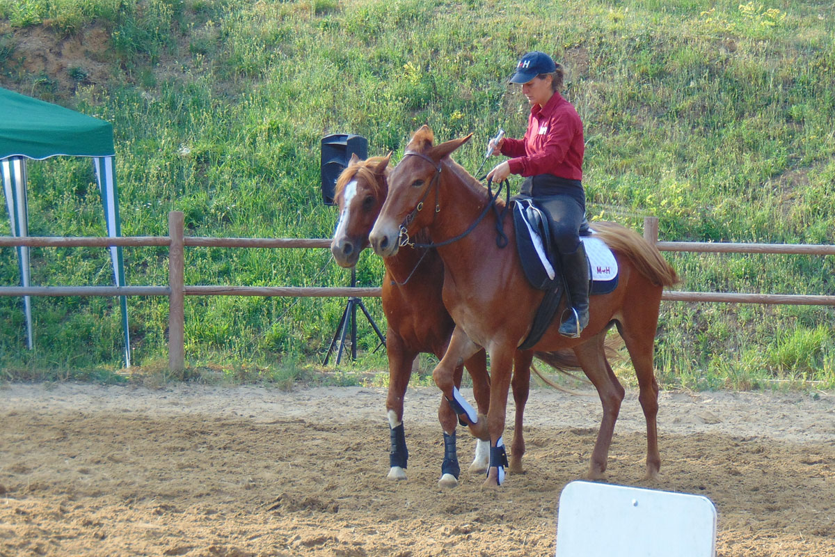 san-savino-gallery-gran-gala-02 Ivrea San Savino Gran Galà equestre