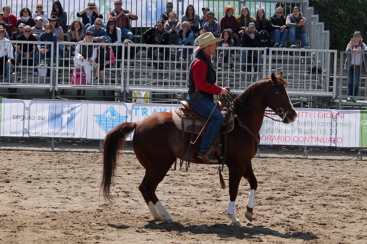 san-savino-gallery-gran-gala-04 Ivrea San Savino Gran Galà equestre