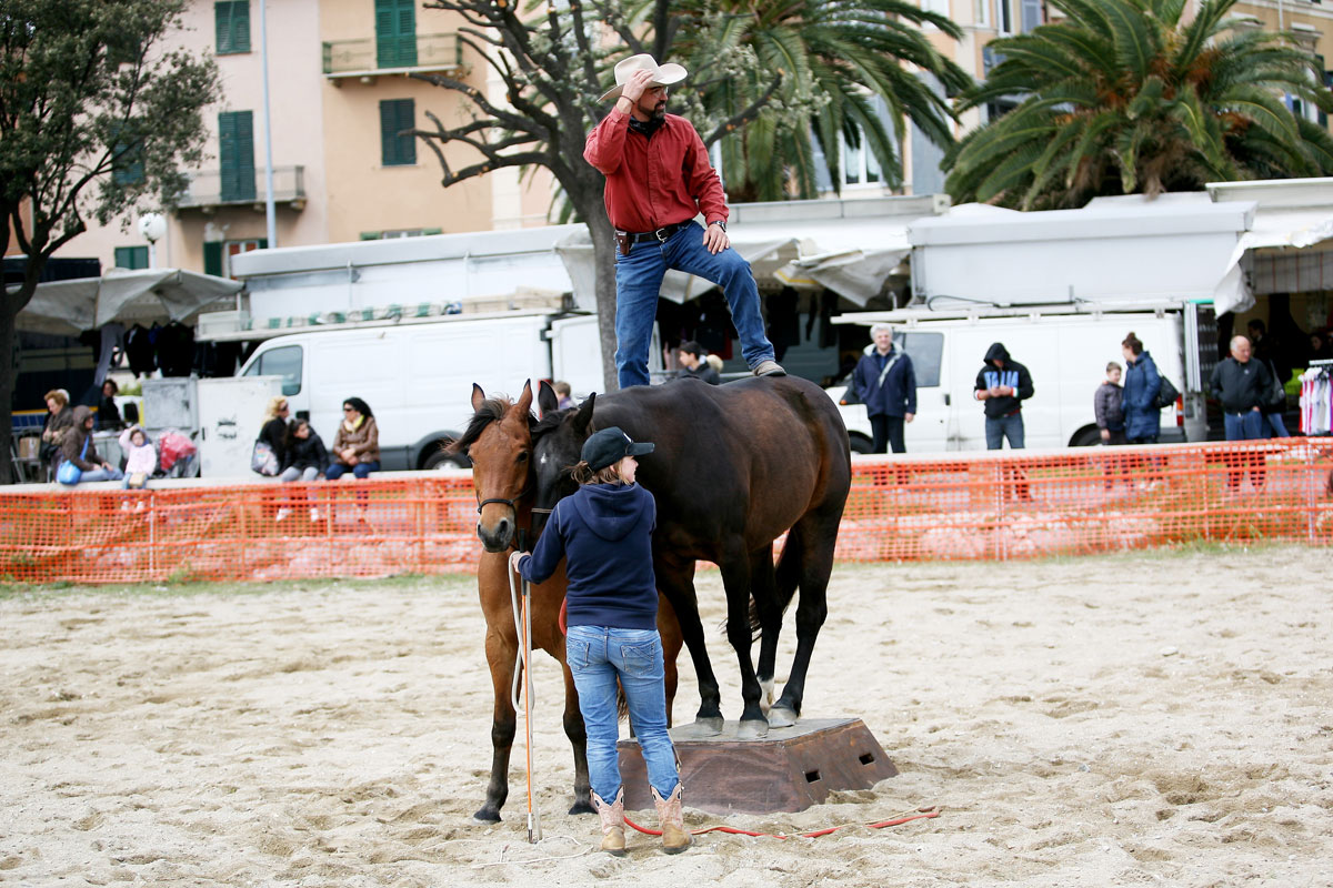 san-savino-gallery-gran-gala-05 Ivrea San Savino Gran Galà equestre