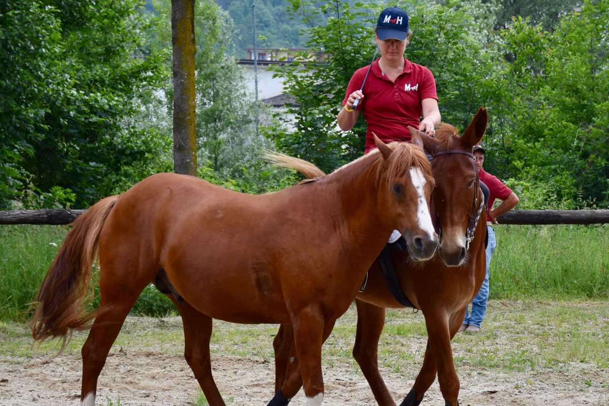 san-savino-gallery-gran-gala-06 Ivrea San Savino Gran Galà equestre