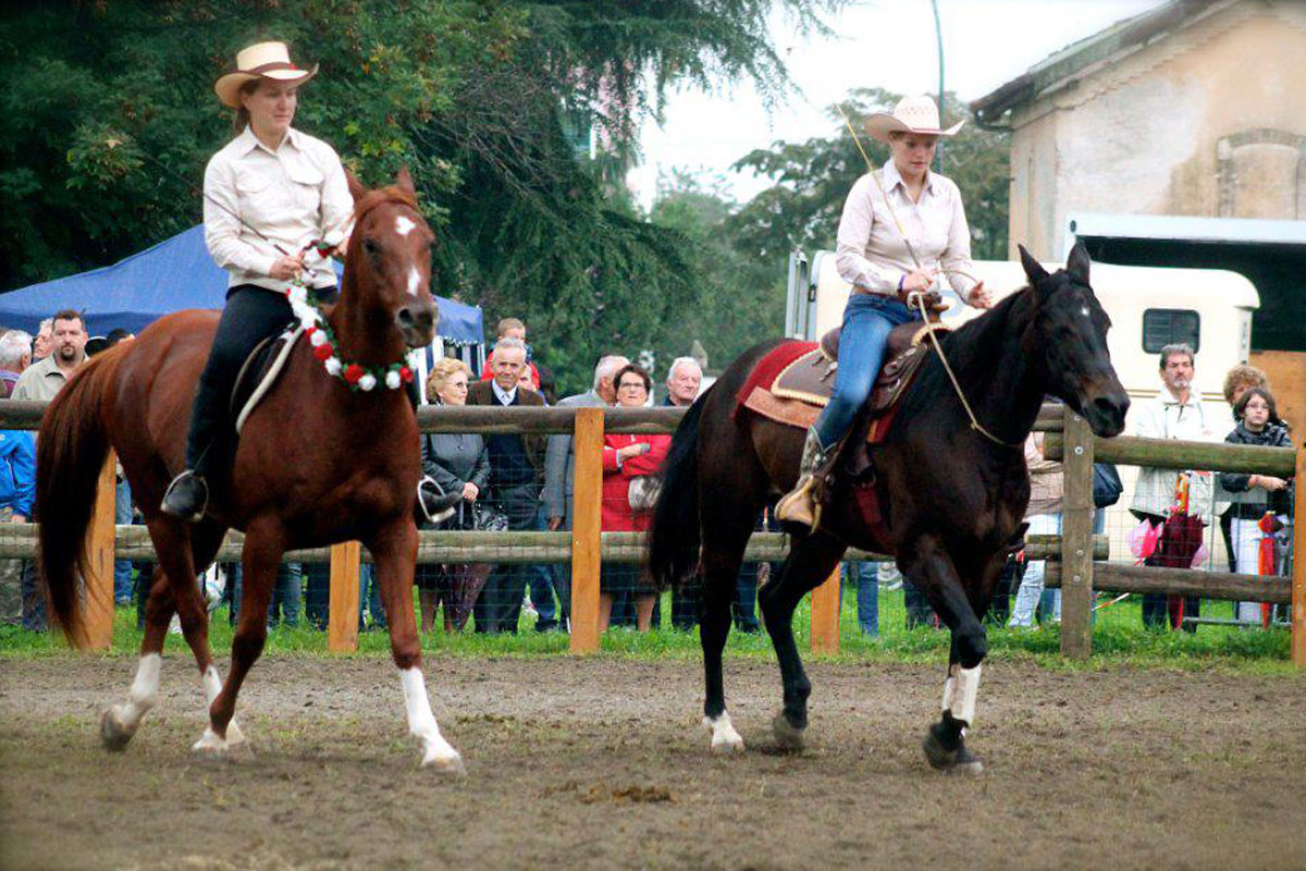san-savino-gallery-gran-gala-08 Ivrea San Savino Gran Galà equestre
