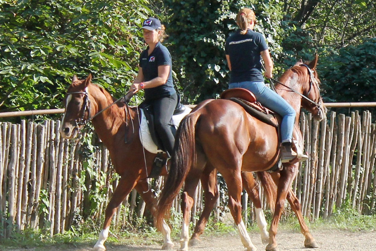 san-savino-gallery-gran-gala-09 Ivrea San Savino Gran Galà equestre