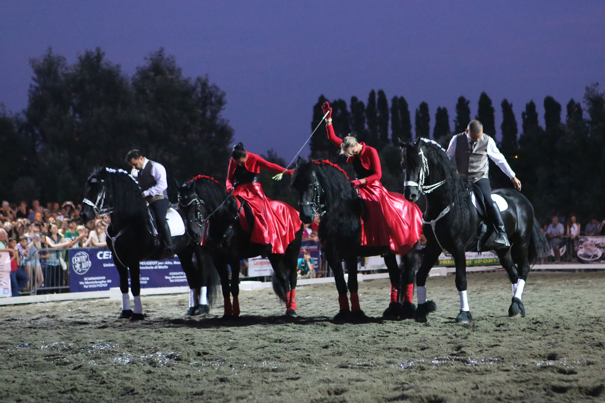 san-savino-gallery-gran-gala-10 Ivrea San Savino Gran Galà Equestre