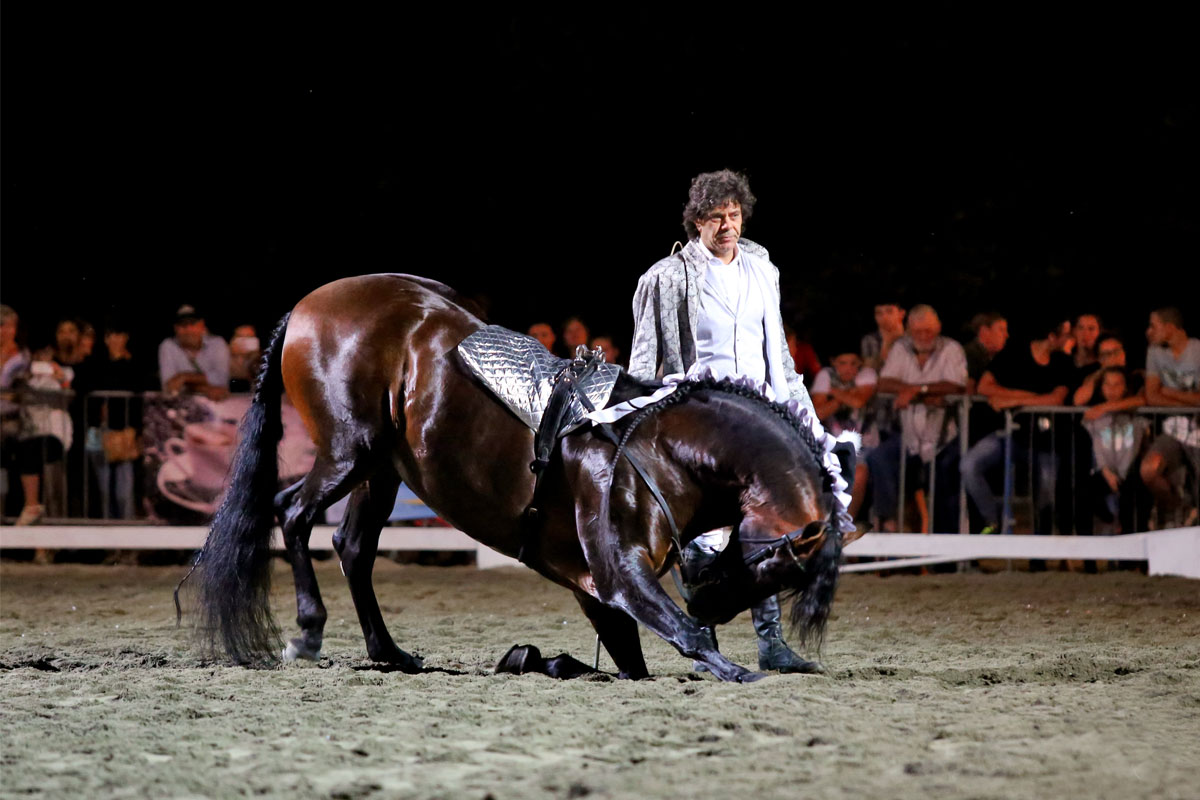 san-savino-gallery-gran-gala-11 Ivrea San Savino Gran Galà Equestre