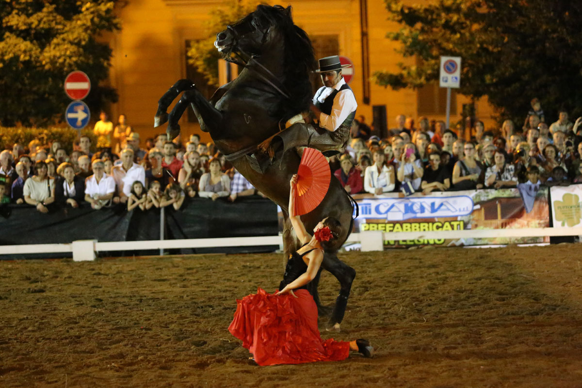 san-savino-gallery-gran-gala-12 Ivrea San Savino Gran Galà Equestre