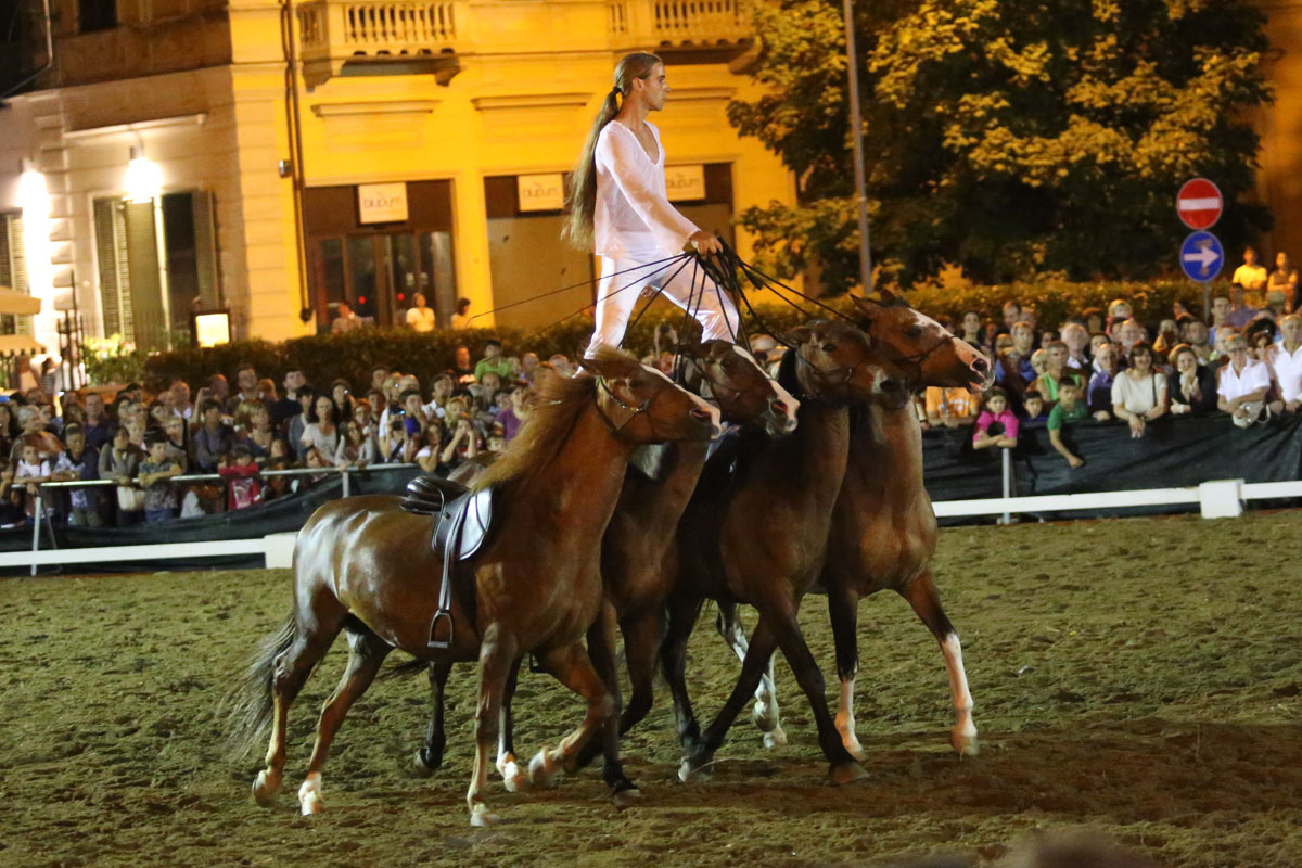 san-savino-gallery-gran-gala-13 Ivrea San Savino Gran Galà Equestre